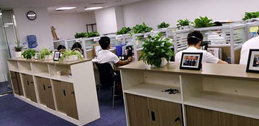 湖南企業(yè)管理咨詢行業(yè) 賦能企業(yè)成長(zhǎng)，驅(qū)動(dòng)區(qū)域經(jīng)濟(jì)新篇章